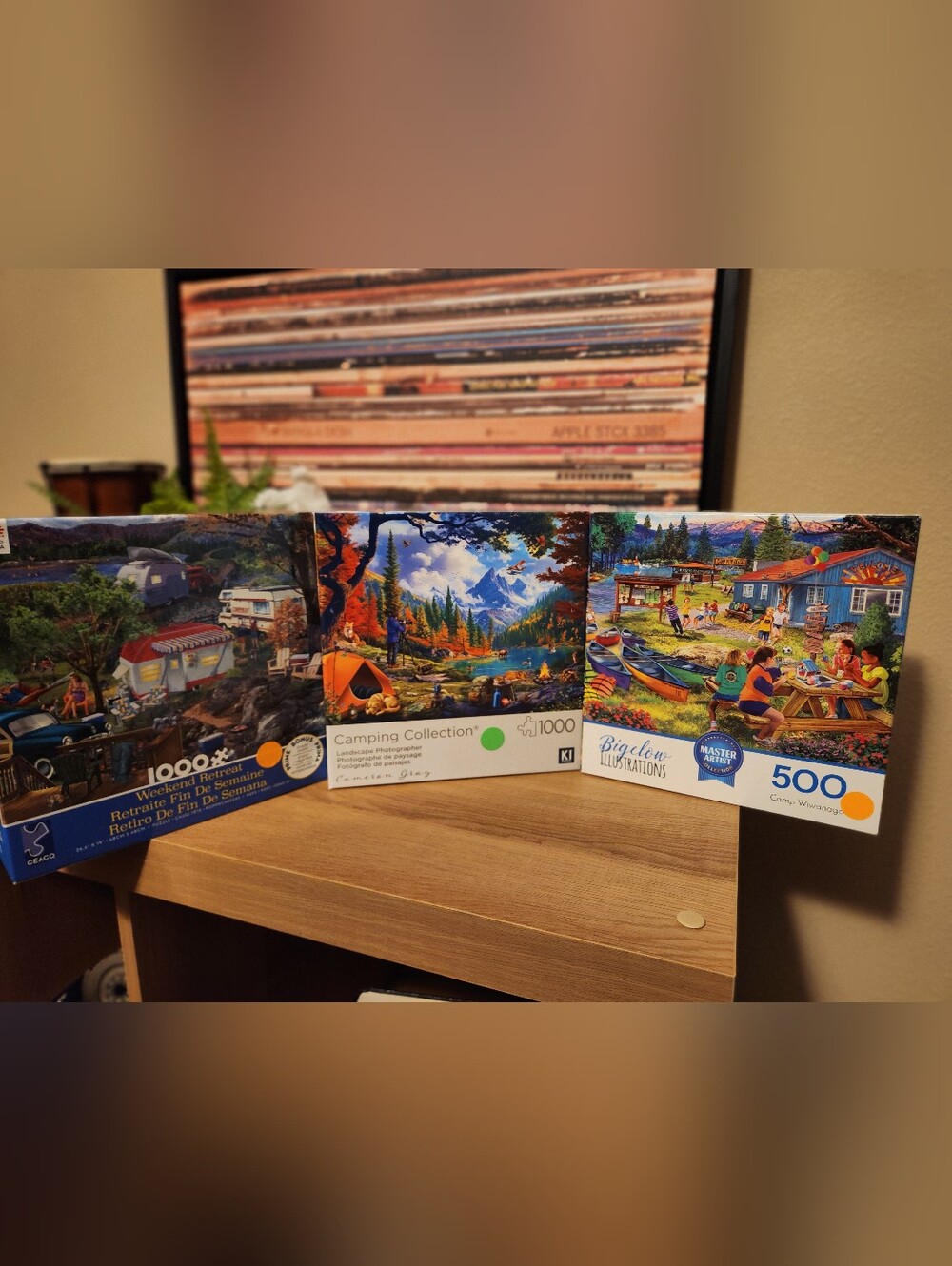 Camping Collection Jigsaw Puzzle Set (3)